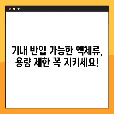 기내 반입 금지 물품 4가지 | 국제선 & 국내선 완벽 정리 | 여행 필수 정보, 짐싸기 팁
