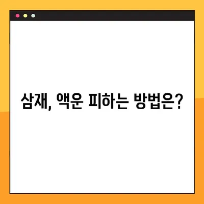 2022년 삼재띠 완벽 가이드 | 들삼재 눌삼재 날삼재, 나에게 해당되는 삼재는?