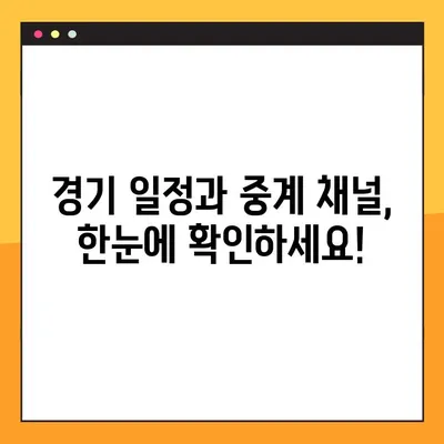 한국 축구 국가대표팀 평가전 일정 & 중계 안내| 브라질, 칠레, 파라과이, 이집트 | 경기 일정, 중계 채널, 시청 방법