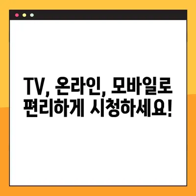 한국 축구 국가대표팀 평가전 일정 & 중계 안내| 브라질, 칠레, 파라과이, 이집트 | 경기 일정, 중계 채널, 시청 방법