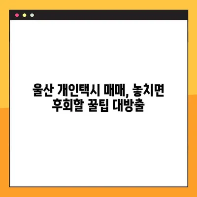 울산 개인택시 매매 완벽 가이드| 가격 시세, 매물 정보, 성공 전략 | 개인택시 사업, 울산 지역 정보, 매매 팁