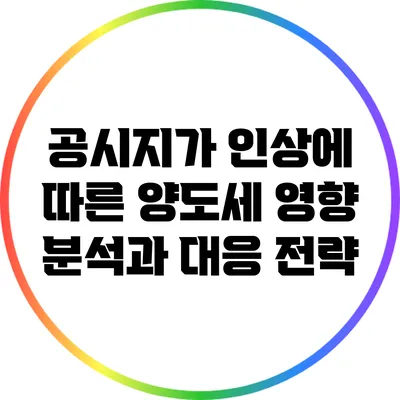 공시지가 인상에 따른 양도세 영향 분석과 대응 전략