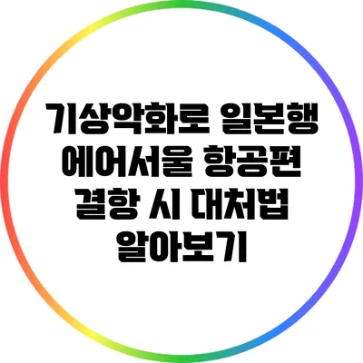 기상악화로 일본행 에어서울 항공편 결항 시 대처법 알아보기