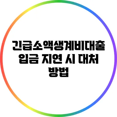 긴급소액생계비대출 입금 지연 시 대처 방법