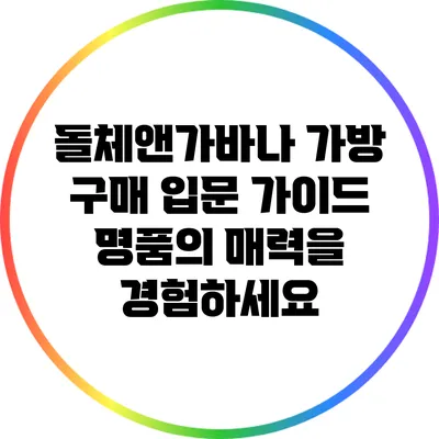 돌체앤가바나 가방 구매 입문 가이드: 명품의 매력을 경험하세요