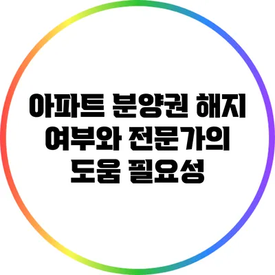 아파트 분양권 해지 여부와 전문가의 도움 필요성