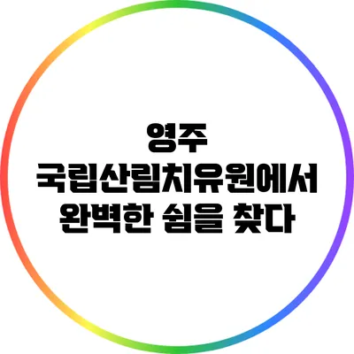 영주 국립산림치유원에서 완벽한 쉼을 찾다