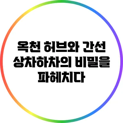옥천 허브와 간선 상차하차의 비밀을 파헤치다
