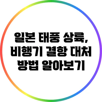 일본 태풍 상륙, 비행기 결항 대처 방법 알아보기