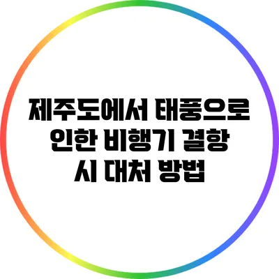 제주도에서 태풍으로 인한 비행기 결항 시 대처 방법