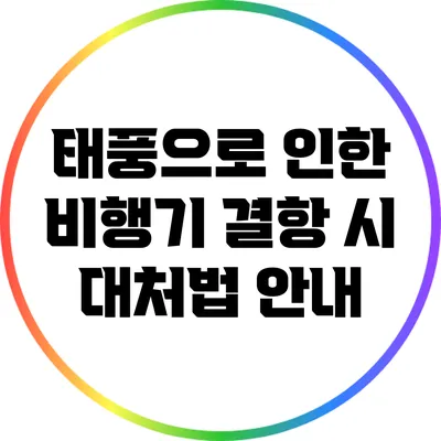 태풍으로 인한 비행기 결항 시 대처법 안내