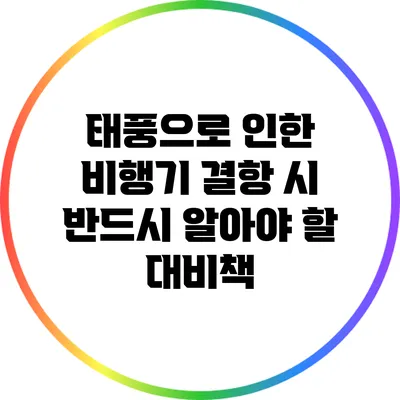 태풍으로 인한 비행기 결항 시 반드시 알아야 할 대비책