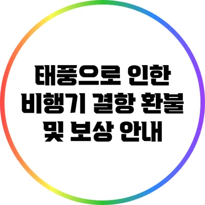 태풍으로 인한 비행기 결항 환불 및 보상 안내