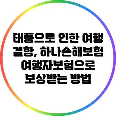 태풍으로 인한 여행 결항, 하나손해보험 여행자보험으로 보상받는 방법