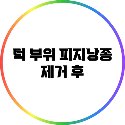 턱 부위 피지낭종 제거 후
