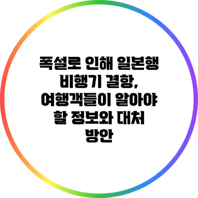 폭설로 인해 일본행 비행기 결항, 여행객들이 알아야 할 정보와 대처 방안