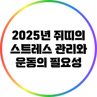 2025년 쥐띠의 스트레스 관리와 운동의 필요성