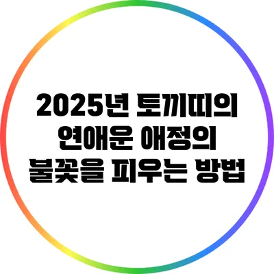 2025년 토끼띠의 연애운: 애정의 불꽃을 피우는 방법