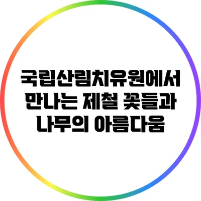 국립산림치유원에서 만나는 제철 꽃들과 나무의 아름다움