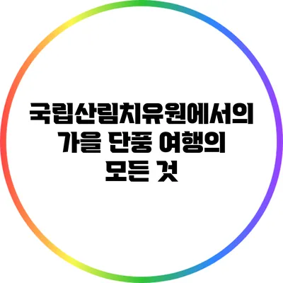 국립산림치유원에서의 가을 단풍 여행의 모든 것