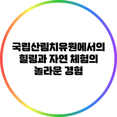 국립산림치유원에서의 힐링과 자연 체험의 놀라운 경험