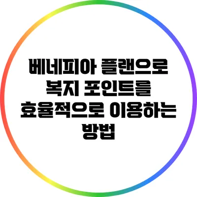 베네피아 플랜으로 복지 포인트를 효율적으로 이용하는 방법