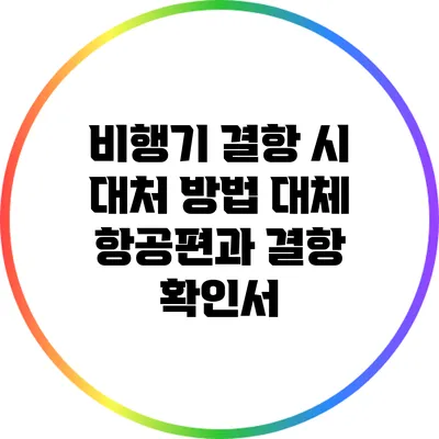비행기 결항 시 대처 방법: 대체 항공편과 결항 확인서