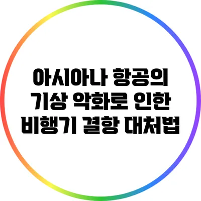 아시아나 항공의 기상 악화로 인한 비행기 결항 대처법
