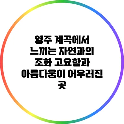 영주 계곡에서 느끼는 자연과의 조화: 고요함과 아름다움이 어우러진 곳