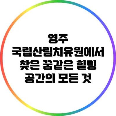 영주 국립산림치유원에서 찾은 꿈같은 힐링 공간의 모든 것