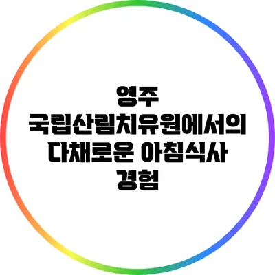 영주 국립산림치유원에서의 다채로운 아침식사 경험
