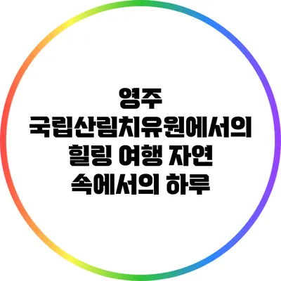 영주 국립산림치유원에서의 힐링 여행: 자연 속에서의 하루