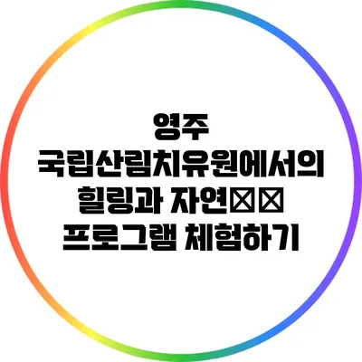 영주 국립산림치유원에서의 힐링과 자연療法 프로그램 체험하기
