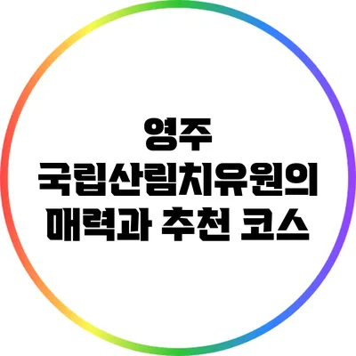 영주 국립산림치유원의 매력과 추천 코스