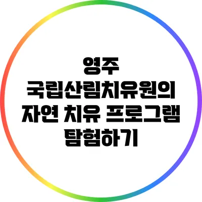 영주 국립산림치유원의 자연 치유 프로그램 탐험하기