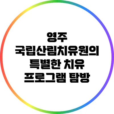 영주 국립산림치유원의 특별한 치유 프로그램 탐방