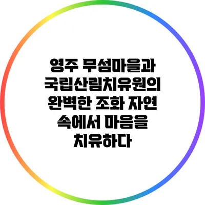영주 무섬마을과 국립산림치유원의 완벽한 조화: 자연 속에서 마음을 치유하다