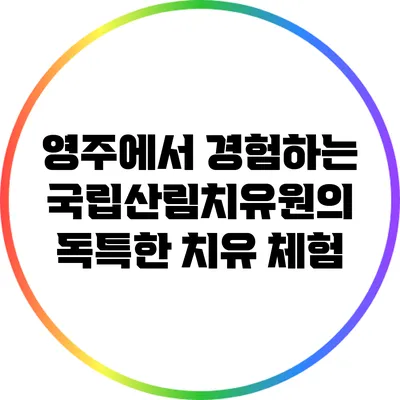 영주에서 경험하는 국립산림치유원의 독특한 치유 체험