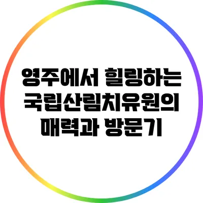 영주에서 힐링하는 국립산림치유원의 매력과 방문기
