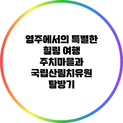 영주에서의 특별한 힐링 여행: 주치마을과 국립산림치유원 탐방기
