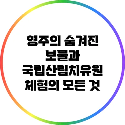 영주의 숨겨진 보물과 국립산림치유원 체험의 모든 것