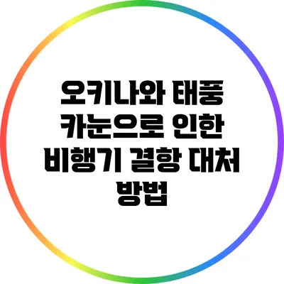 오키나와 태풍 카눈으로 인한 비행기 결항 대처 방법