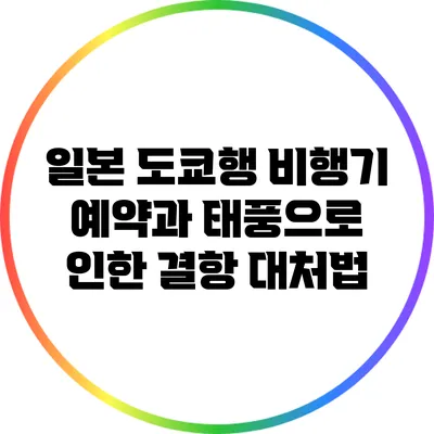 일본 도쿄행 비행기 예약과 태풍으로 인한 결항 대처법