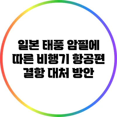 일본 태풍 암필에 따른 비행기 항공편 결항 대처 방안