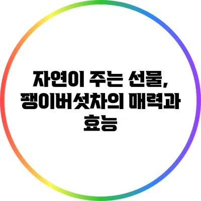 자연이 주는 선물, 팽이버섯차의 매력과 효능