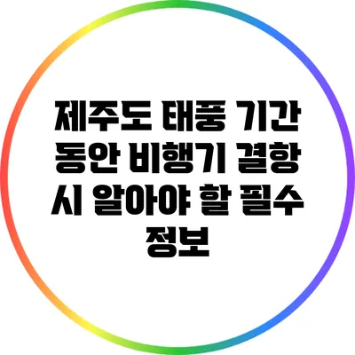 제주도 태풍 기간 동안 비행기 결항 시 알아야 할 필수 정보