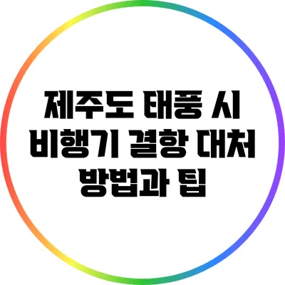제주도 태풍 시 비행기 결항 대처 방법과 팁