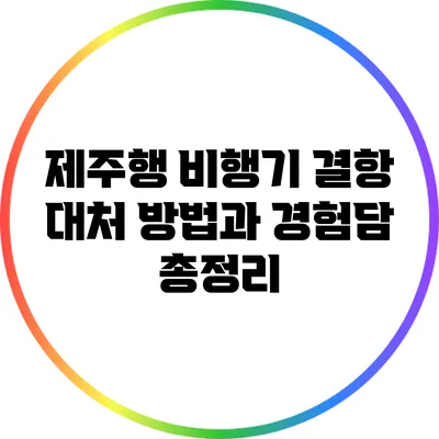 제주행 비행기 결항 대처 방법과 경험담 총정리
