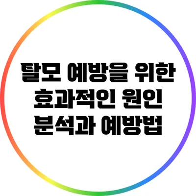 탈모 예방을 위한 효과적인 원인 분석과 예방법