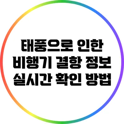 태풍으로 인한 비행기 결항 정보 실시간 확인 방법